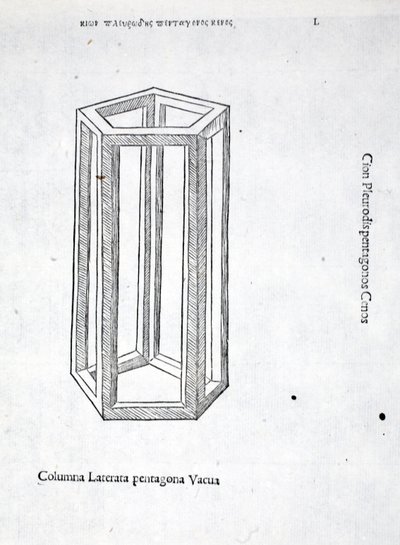 Columna laterata pentagona vacua, Illustration aus 